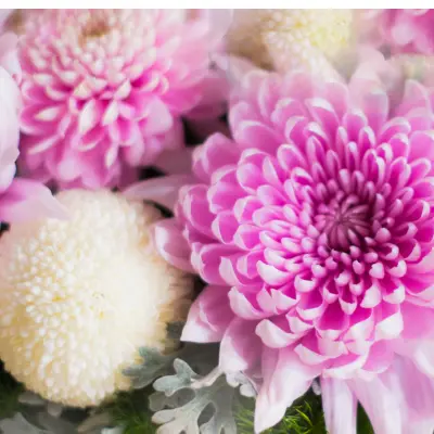ピンクの花束